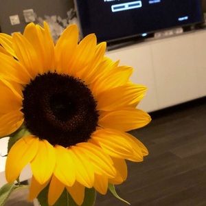 Meet your Posher, Julissa